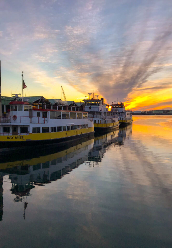 Live, Local Music and Cocktails on Casco Bay! Join us for the 2023
