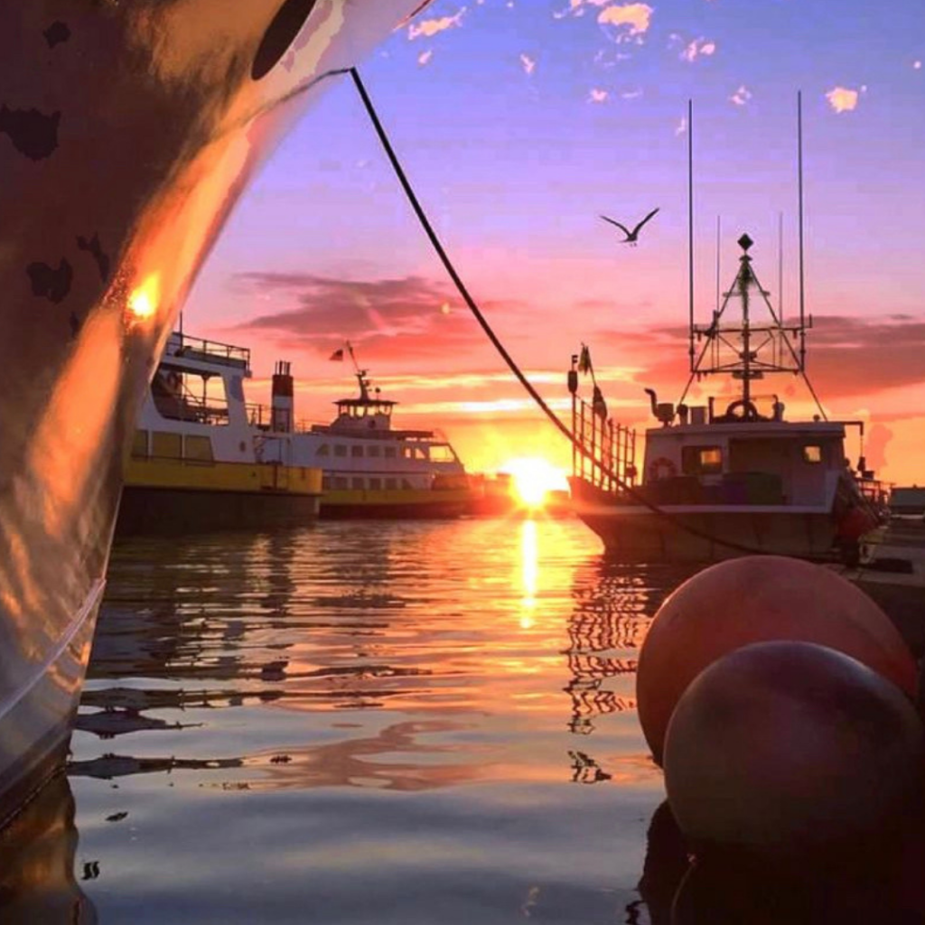 The Perfect Summer Job Casco Bay Lines is Hiring for the Season